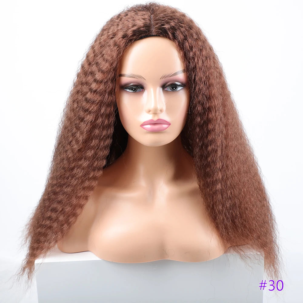 Long Puffy Kinky Curly Synthetic Wigs for Women Black Brown Blonde Synthetic Curly Hair Wigs 20 Inch Curly Synthetic Hair Wigs