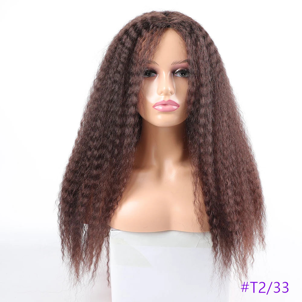 Long Puffy Kinky Curly Synthetic Wigs for Women Black Brown Blonde Synthetic Curly Hair Wigs 20 Inch Curly Synthetic Hair Wigs