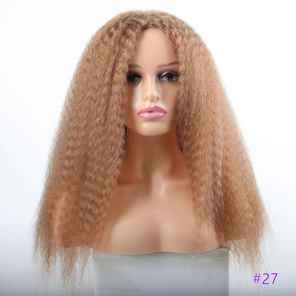 Long Puffy Kinky Curly Synthetic Wigs for Women Black Brown Blonde Synthetic Curly Hair Wigs 20 Inch Curly Synthetic Hair Wigs