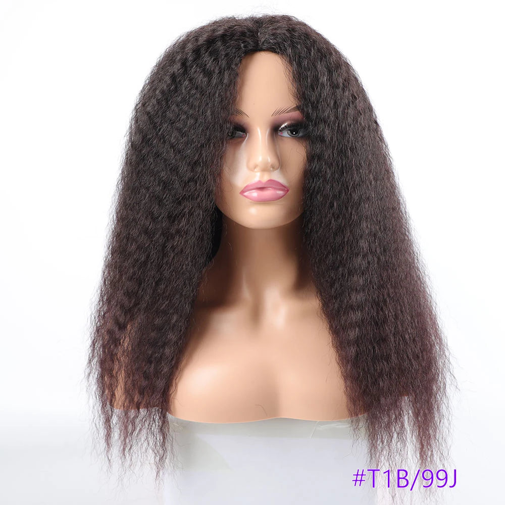 Long Puffy Kinky Curly Synthetic Wigs for Women Black Brown Blonde Synthetic Curly Hair Wigs 20 Inch Curly Synthetic Hair Wigs