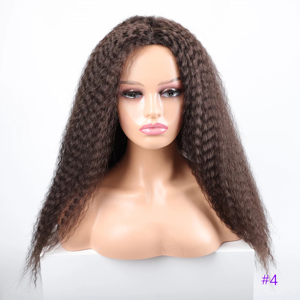 Long Puffy Kinky Curly Synthetic Wigs for Women Black Brown Blonde Synthetic Curly Hair Wigs 20 Inch Curly Synthetic Hair Wigs