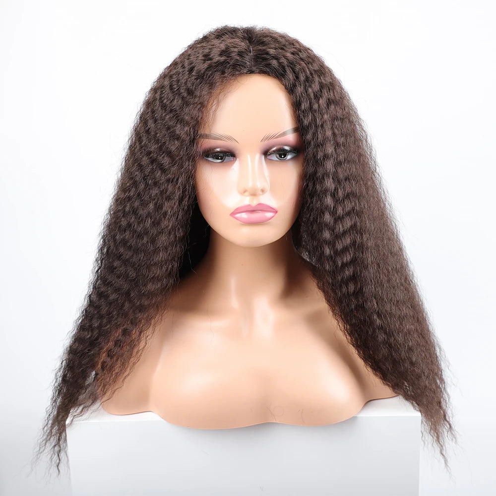 Long Puffy Kinky Curly Synthetic Wigs for Women Black Brown Blonde Synthetic Curly Hair Wigs 20 Inch Curly Synthetic Hair Wigs