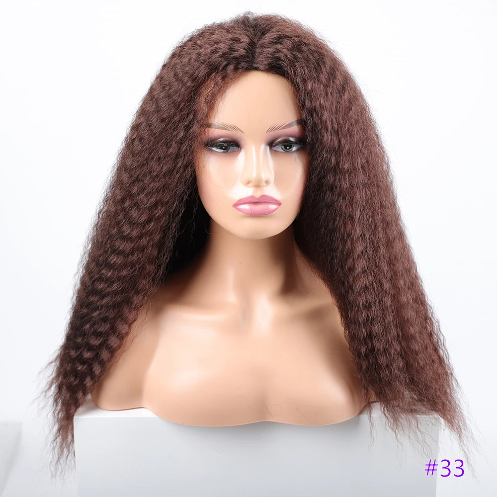 Long Puffy Kinky Curly Synthetic Wigs for Women Black Brown Blonde Synthetic Curly Hair Wigs 20 Inch Curly Synthetic Hair Wigs